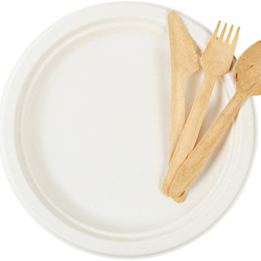 Recyclable Plates & Cutlery